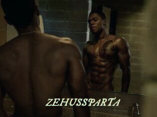 ZEHUS_SPARTA