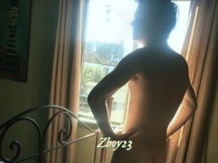 Zboy23