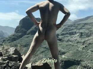 Zebrito