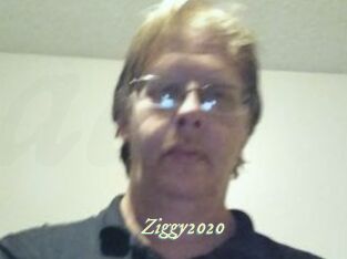 Ziggy2020