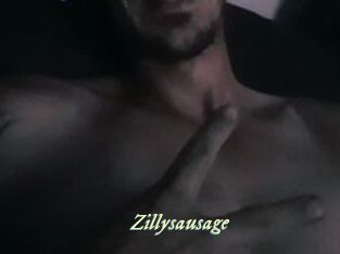 Zillysausage