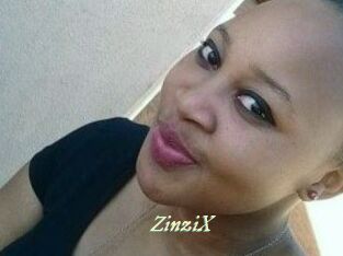 ZinziX