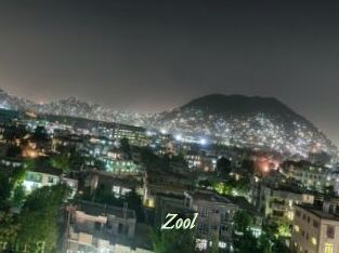 Zool