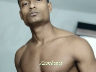 zambohot Année du sexe
