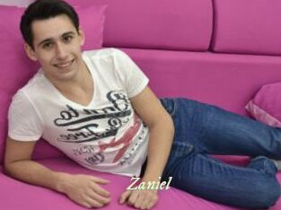 Zaniel