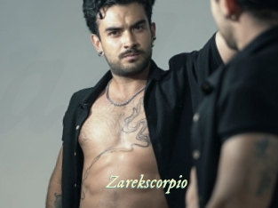 zarekscorpio Année du sexe