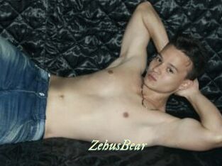 ZehusBear