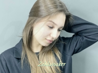 Zeldacoaker