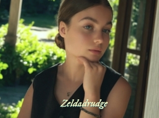 Zeldadrudge